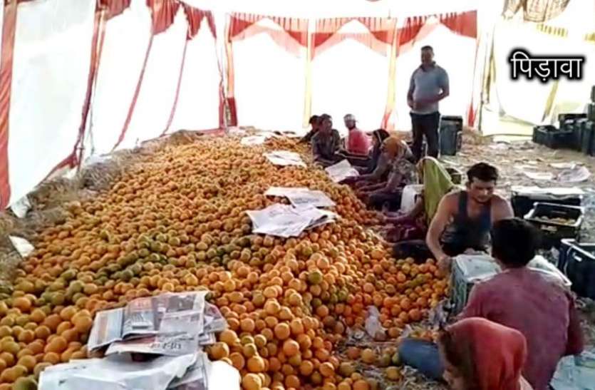 pidawa स्वाद ऐसा कि व्यापारी स्वयं आते हैं खरीदने