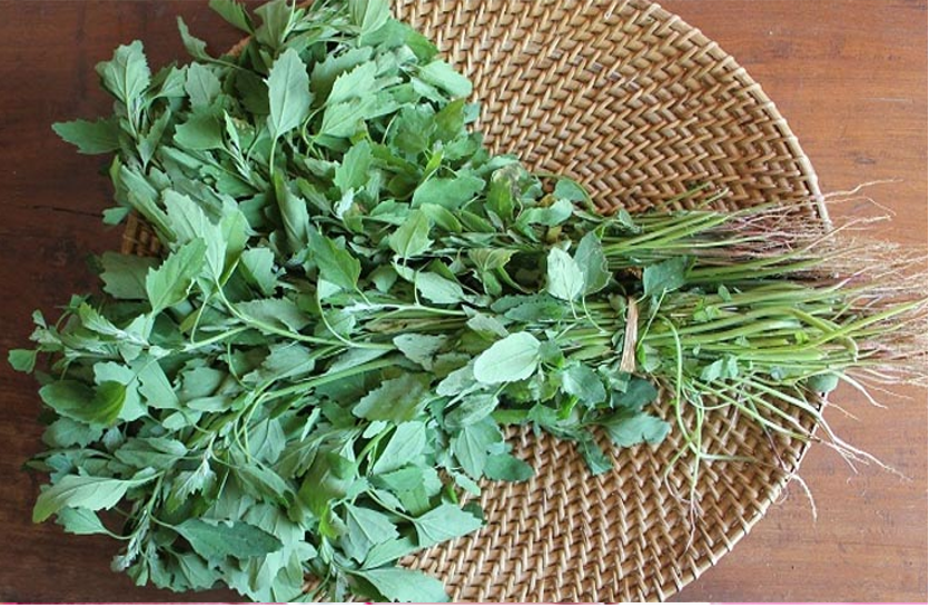bathua-is-beneficial-in-irregular-menstruation-breast-cancer-anemia अनियमित माहवारी, ब्रेस्ट कैंसर, एनीमिया व बवासीर में फायदेमंद है बथुआ