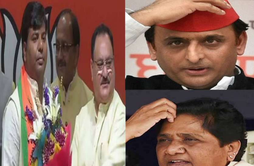 Up politics UP में निषाद पार्टी के भाजपा से गठबंधन के बाद बदला समीकरण, जानिये महागठबंधन पर क्या पड़ेगा प्रभाव