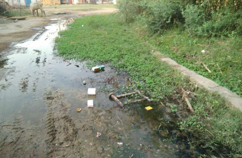 Blooming disease महीनों से सफाई नहीं, जाम नाली में पनप रही बीमारी