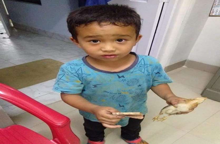 innocent child चूजे के ऊपर चढ़ा दी थी साइकिल, फिर इस मासूम बच्चे ने किया ऐसा काम, दुनिया कर रही सलाम
