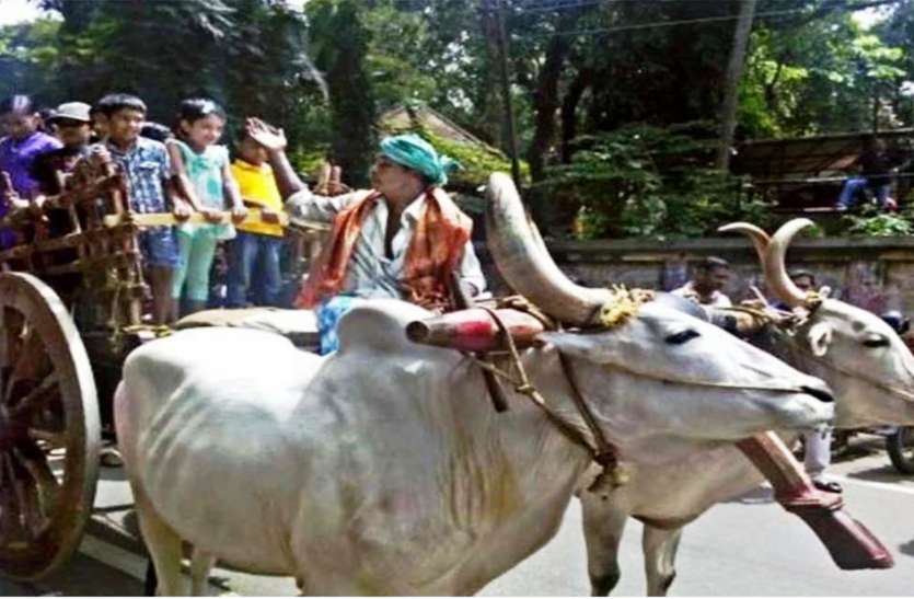 loksabha election compaign become modern in kanpur hindi news चुनाव के वक्त बैलगाड़ी में निकलती थी गवैये की टोली