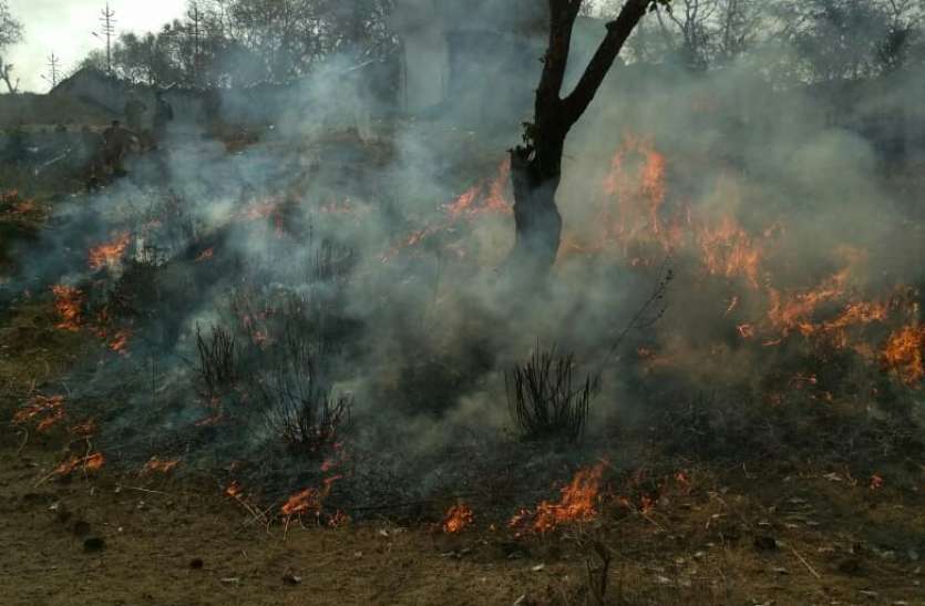 control fire in explosive depot khamariya यहां फायरकर्मी खुद लगा देते हैं जंगल में आग