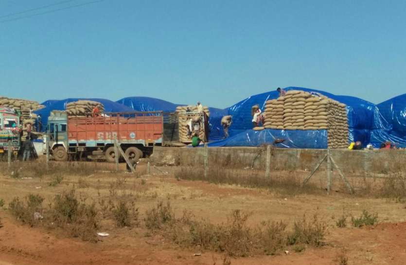 if did not bue wheat in 48 hours then manager responsible 48 घंटे में गेहूं नहीं खरीदा तो मैनेजर जिम्मेदार