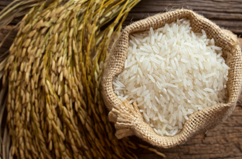 Totke Of Rice Can Make You Rich, It Will Change Your Life Also - चावल के  दानों का ये मामूली-सा उपाय बना सकता है मालामाल, ऐसे करें इस्तेमाल | Patrika  News