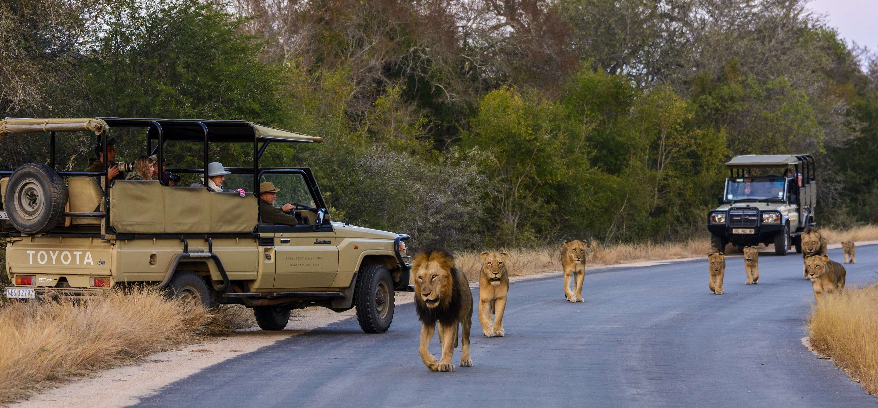 Animals Attacked On Smuggler In Kruger National Park - शिकार करने गए थे