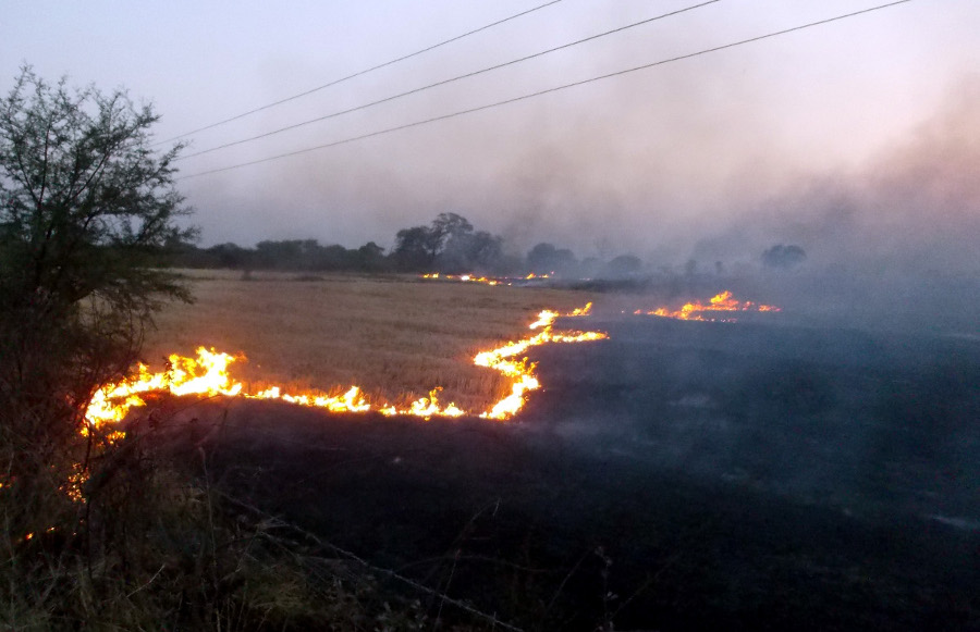 hoshangabad narwaai latest update किसानों की फसल में फिर लगी आग, डेढ़ करोड़ का नुकसान