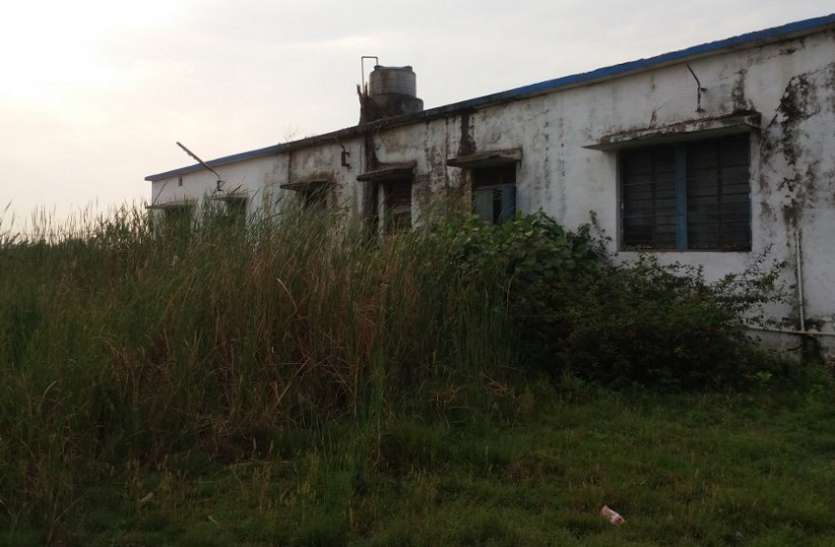 Such hospitals, where the patients are afraid of poisonous insects ऐसा अस्पताल जहां, जहरीले कीड़ों से भयभीत रहते हैं मरीज व उनके परिजन