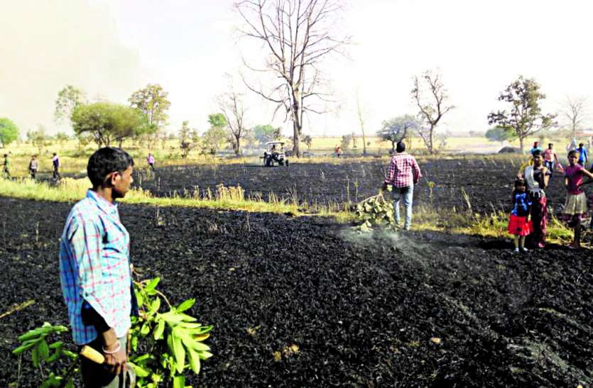 Fire in the field किसानों की 20 एकड़ की फसल राख