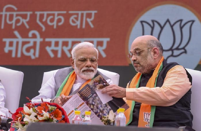 BJP Manifesto वादों का जंजाल