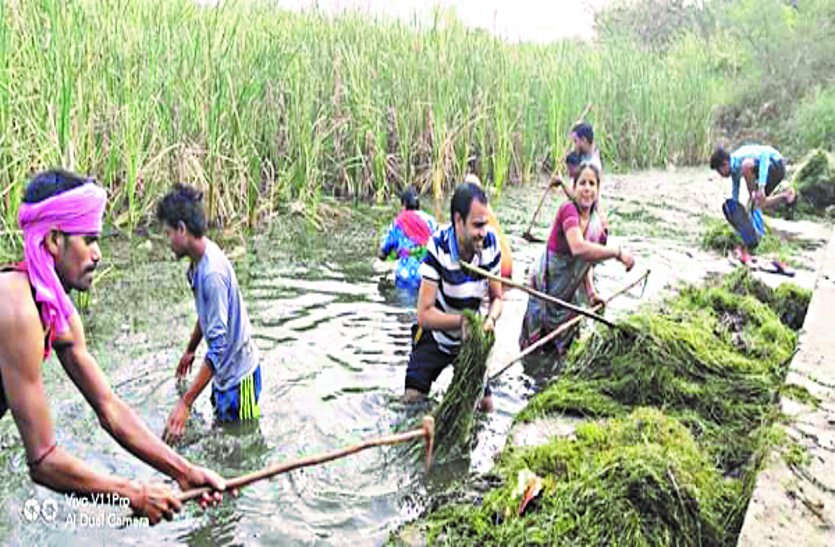 patrika प्रशासन ने नहीं ली सुध, वार्डवासियों ने नदियों की सफाई का उठाया बीड़ा, उतरे पानी में