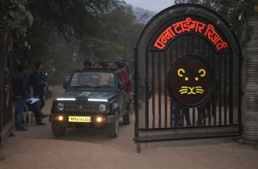 बाघ का जन्मदिन मनाने वाले प्रदेश के इकलौते टाइगर रिजर्व में शुरू हुई जन्मोत्सव की तैयारियां बाघ का जन्मदिन मनाने वाले प्रदेश के इकलौते टाइगर रिजर्व में शुरू हुई जन्मोत्सव की तैयारियां