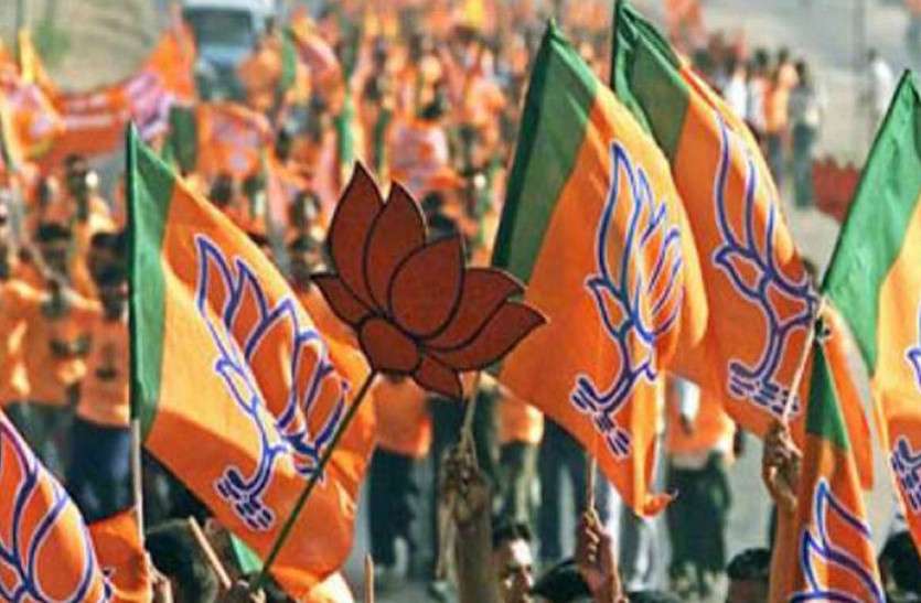bjp लोकसभा चुनाव 2019 से पहले सांसद ने दिया इस्तीफा, मचा हड़कंप!