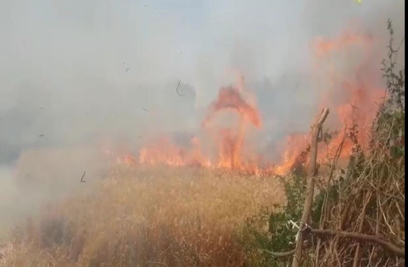 kota यहां खेतों पर गिरती हैं बिजलियां, तबाह होता अन्नदाता