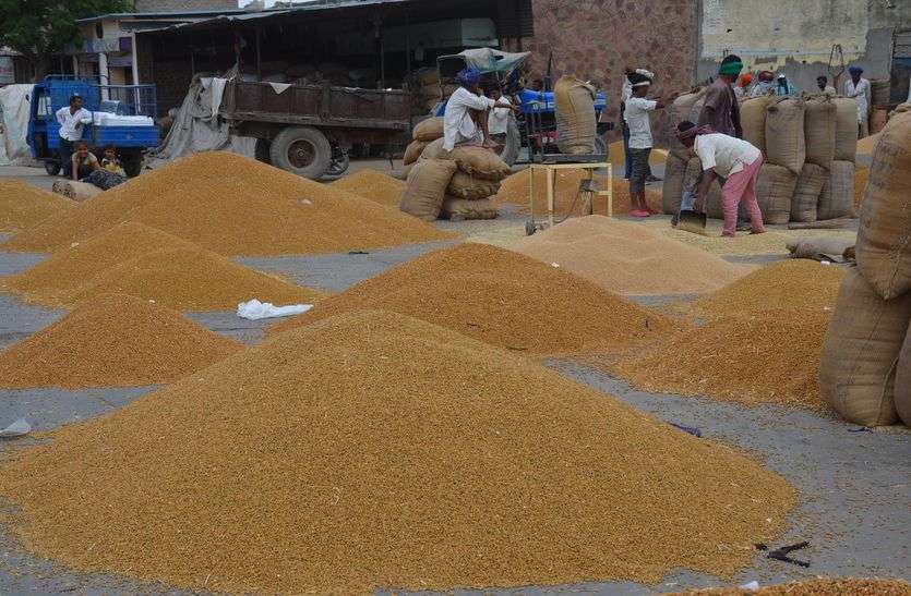 Call ten farmers to come in bhilwara दस किसानों को बुलाया आए दो