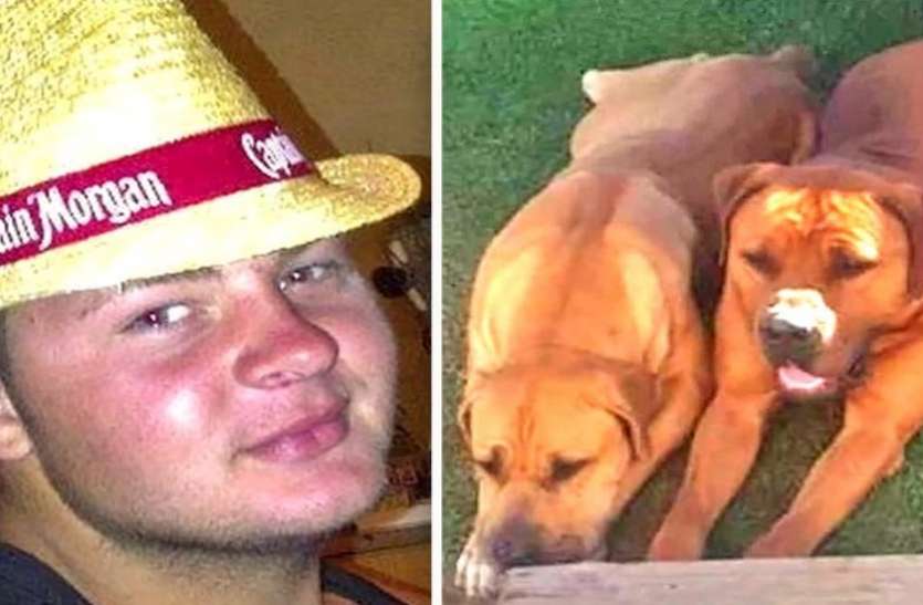 dog attack अपने मालिक के लिए यमराज बने पालतू कुत्ते, पहले दिए गंभीर जख्म फिर डेडबॉडी को घसीटते हुए...