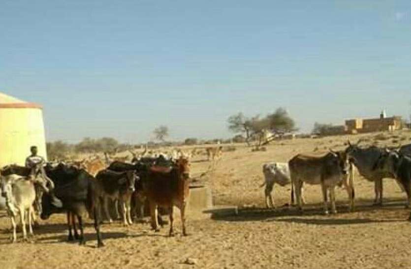 jaisalmer खाने से ज्यादा खर्च करना पड़ता है पानी पर