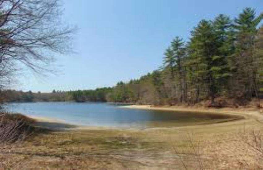 pond