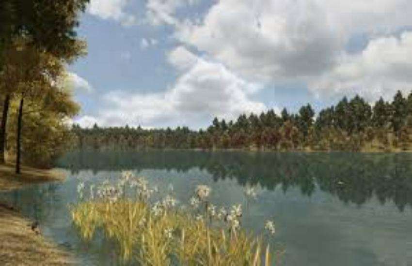 pond