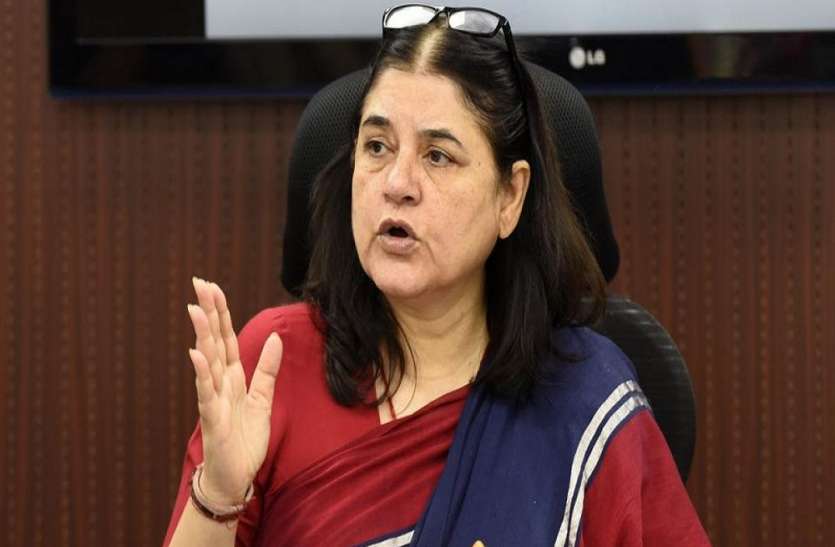 menka gandhi वोटर्स को एबीसीडी का गणित समझाकर मेनका ने कहा जिसके ज्यादा वोट उसका काम होगा पहले