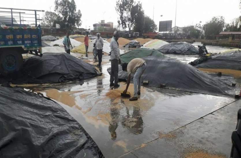 Rajasthan weather राजस्थान में तेज बारिश, ओले और अंधड़ ने मचाई तबाही, 10 लोगों की मौत, आज भी तेज आंधी का अलर्ट