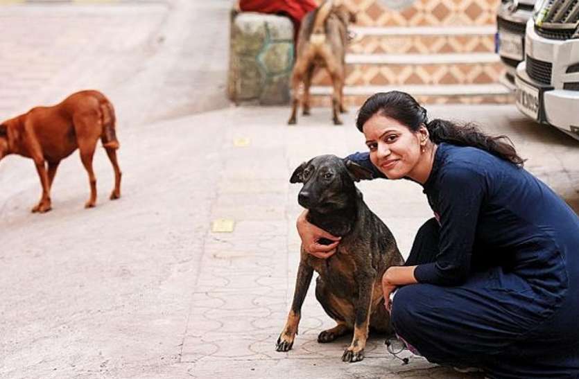 Neha Datwani ये महिला आवारा कुत्तों को खिलाती थी खाना, लेकिन फिर हुआ कुछ ऐसा कि अब चुकानी पड़ेगी ये बड़ी कीमत