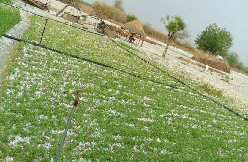 rajasthan weather storm राजस्थान में मौसम का कहर, बिजली गिरने व मकान ढहने से चार बच्चों समेत पांच की मौत