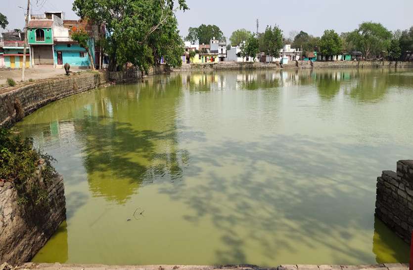 निस्तारी तालाबों का पानी हुआ हरा