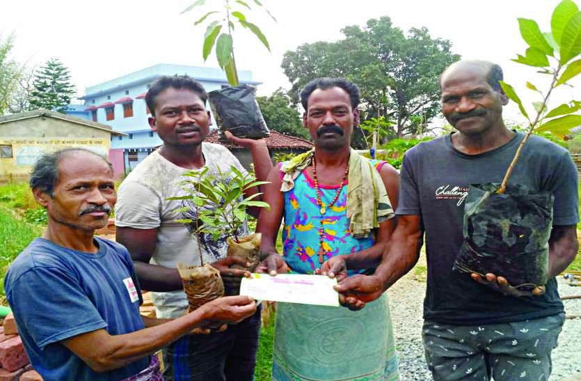 Chhattisgarh Unique Story: Plant distribution with invitation card बेटे की शादी में निमंत्रण कार्ड के साथ पौधे भी बाँट रहा ग्रामीण, रिश्तेदारों से कह रहा इन्हे बेटे की तरह पालो क्योंकि यही हमारा भविष्य हैं
