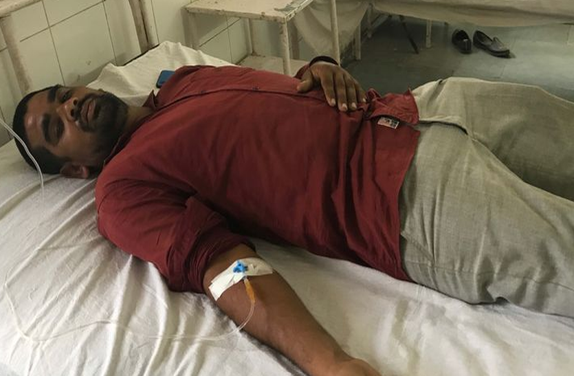 honey back attack दूल्हा-दुल्हन को लेकर गए थे मंदिर, अचानक टूट पड़ी लोगों पर मधुमख्यियां