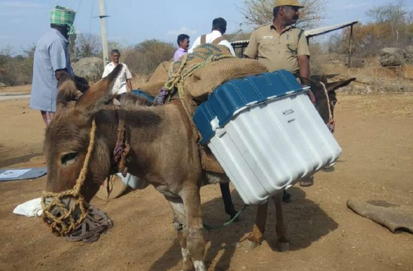 Election materials carrying donkeys for 40 years 40 सालों से गधे ढो रहे चुनावी सामग्री