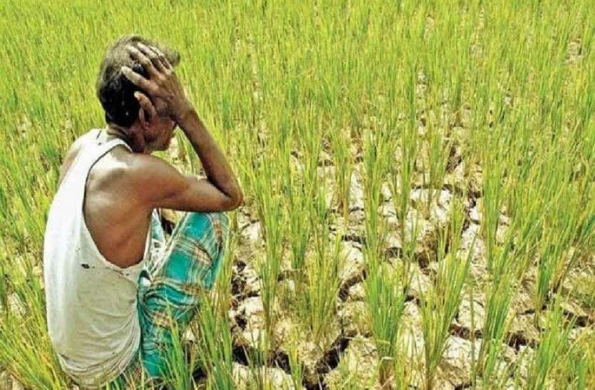farmers बारिश से खराब फसलों की नहीं मिली मुआवजा राशि, किसानों ने किया मतदान बहिष्कार का ऐलान