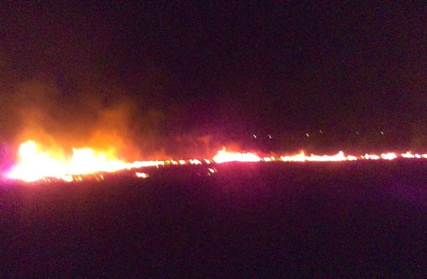 15 acres of cane burn भीषण आगजनी से १५ एकड़ का गन्ना जला