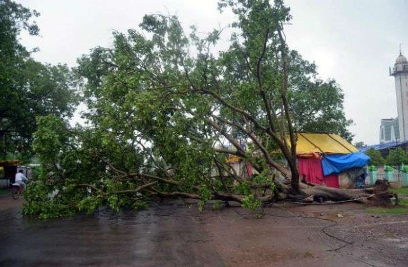 Toofan And Rain In Rajasthan राजस्थान में तूफानी हवा के साथ तेज बारिश से जीवन अस्त-व्यस्त, कई पेड़ गिरे व मकान हुए धराशायी