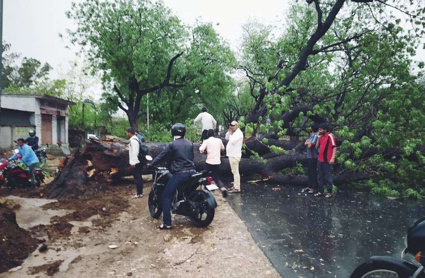 weather आंधी-तूफान से मरे लोगों के आश्रितों को सरकार की ओर से बड़ी राहत की घोषणा, घायलों को भी मिलेगा मुआवजा
