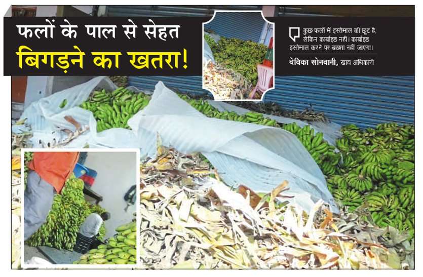 krishi upaj mandi jabalpur फलों के 'पाल' से सेहत बिगडऩे का खतरा