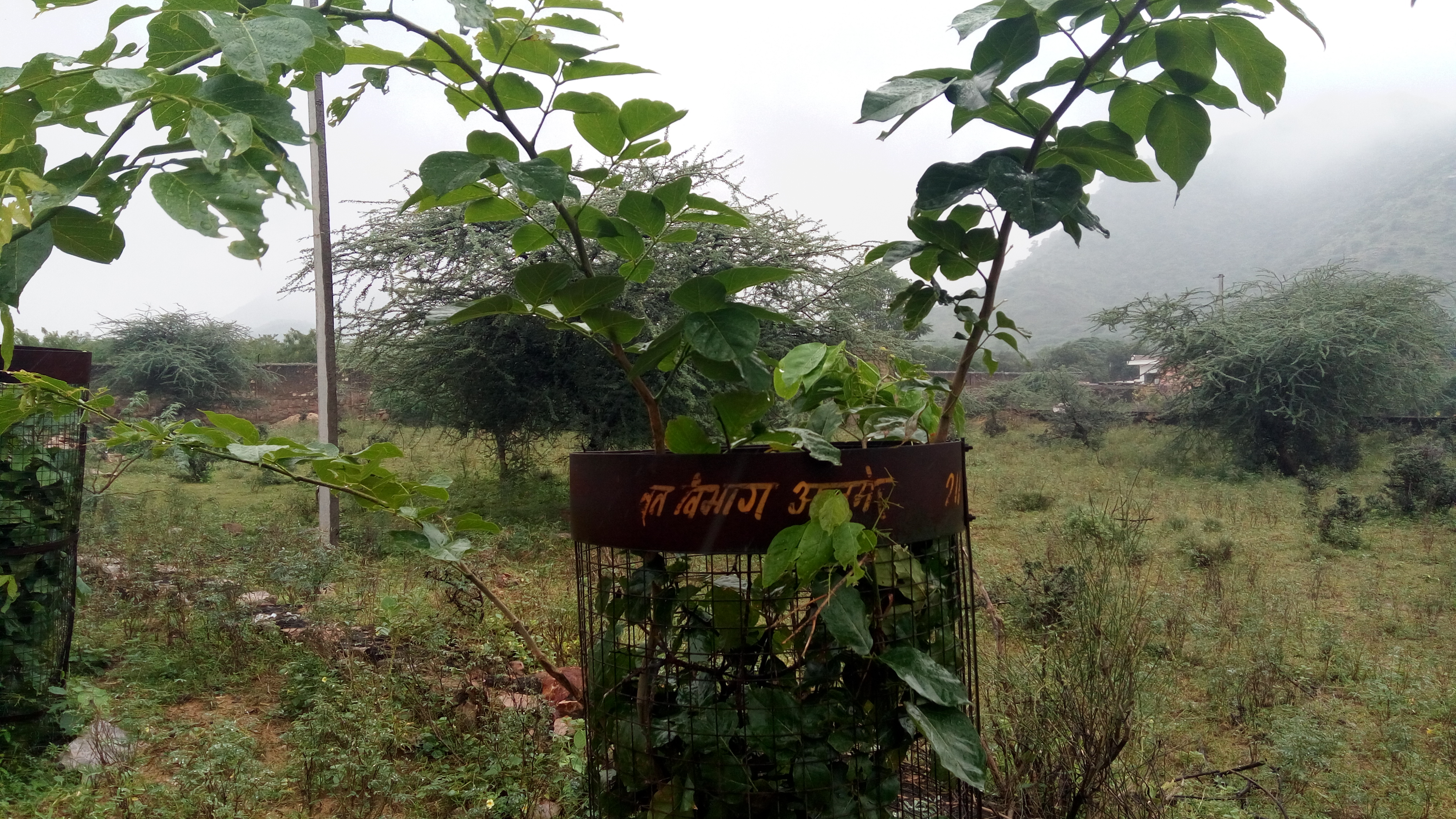 effect on earth ये हैं धरती पर मंडराते खतरे के संकेत, जरा हो जाइए सावधान