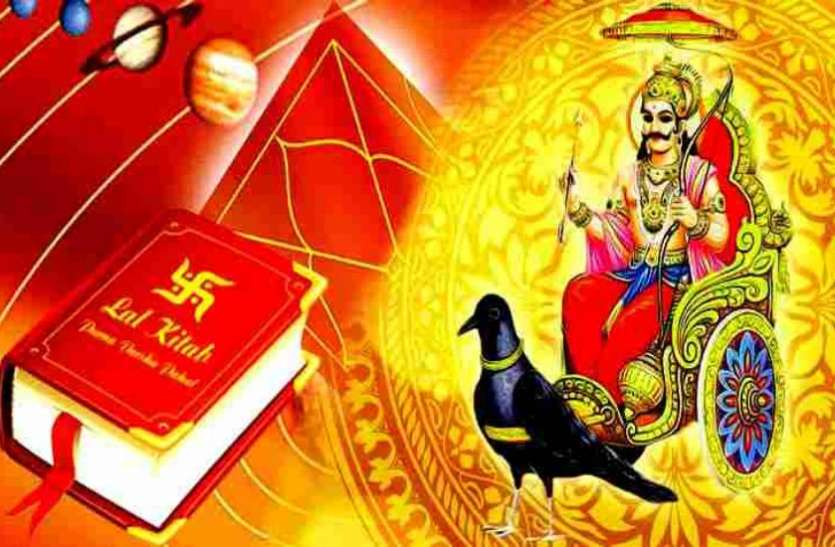 shani dosh nivaran upay शनिवार को दाहिने हाथ में बांध लें धतूरे की जड़, मिलेगा शनि दोष से छुटकारा