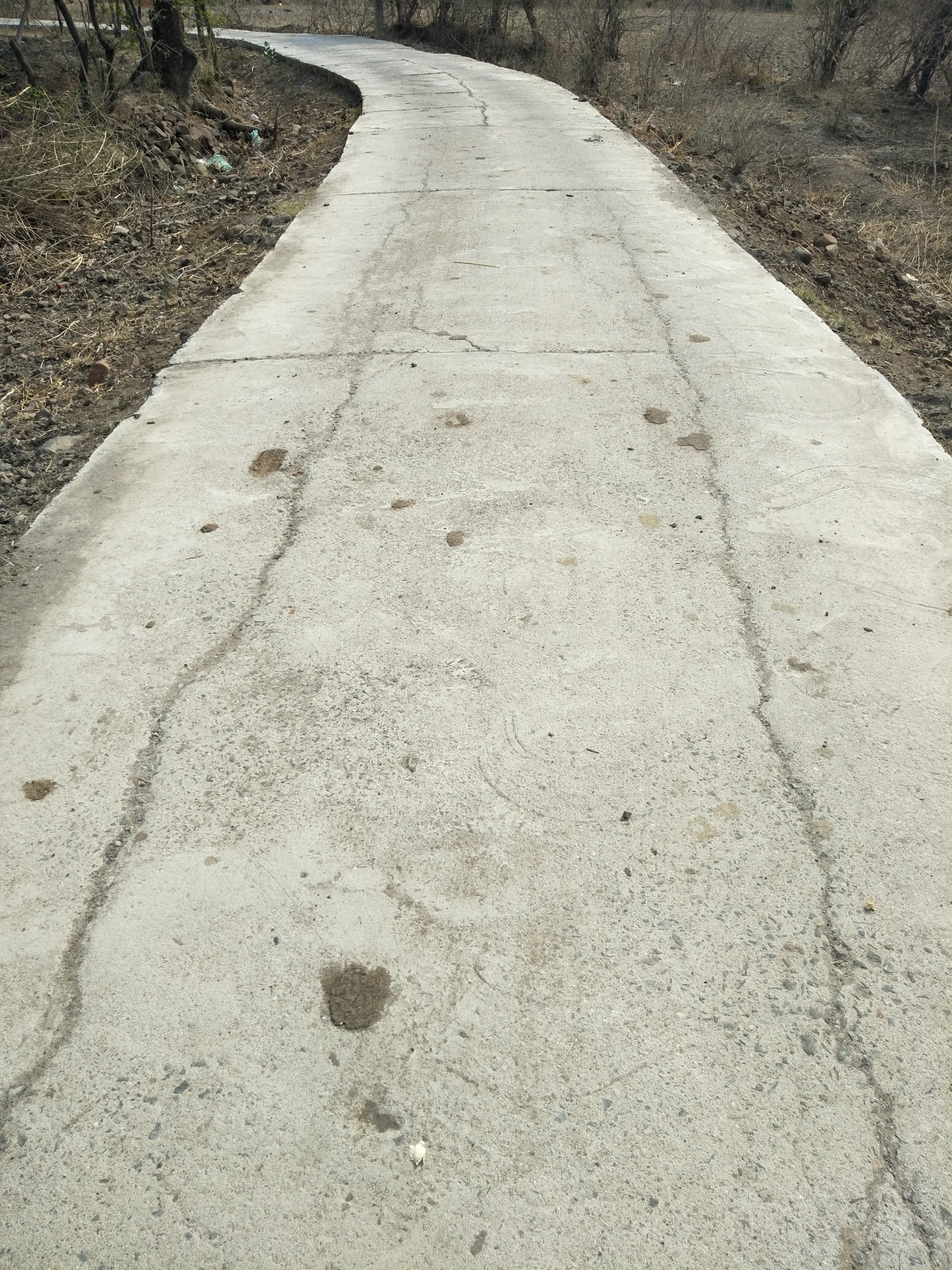 CC Road एक साल भी नहीं टिक पाई 100 मीटर सीसी रोड