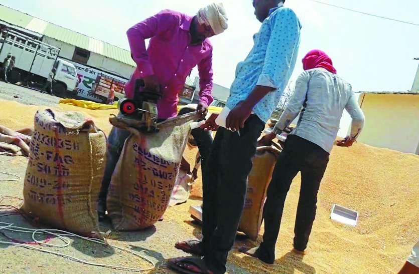 krishi upaj mandi, jabalpur मंडी में किसानों के हक पर 'डाका' डाल रहे दलाल