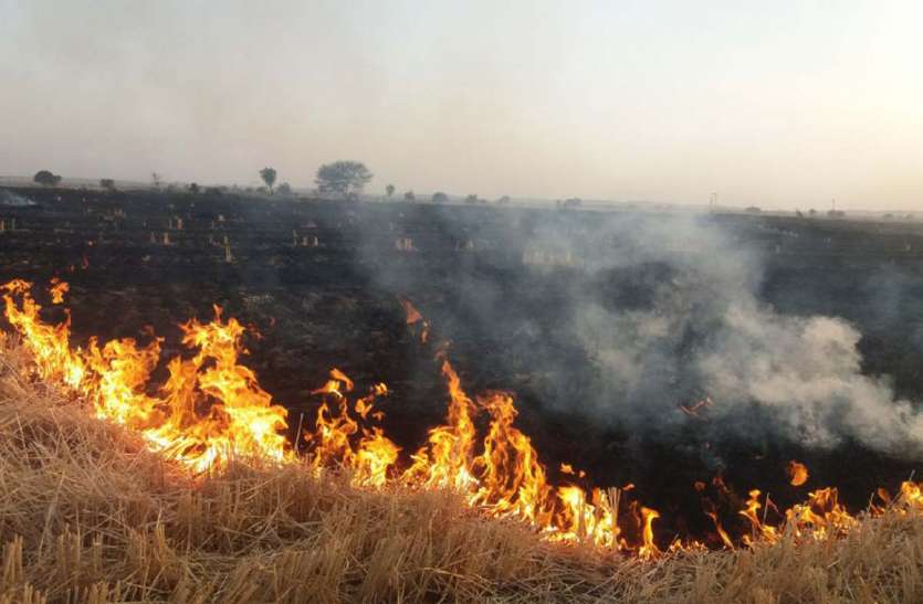 BIG NEWS : पनवाड़ क्षेत्र आग का तांडव, 400 बीघा फसल नष्ट ,किसानों के अरमानों फिरा पानी BIG NEWS : पनवाड़ क्षेत्र आग का तांडव, 400 बीघा फसल नष्ट ,किसानों के अरमानों फिरा पानी