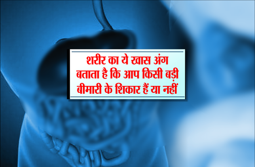 Health news शरीर का ये खास अंग बताता है कि आप किसी बड़ी बीमारी के शिकार हैं या नहीं