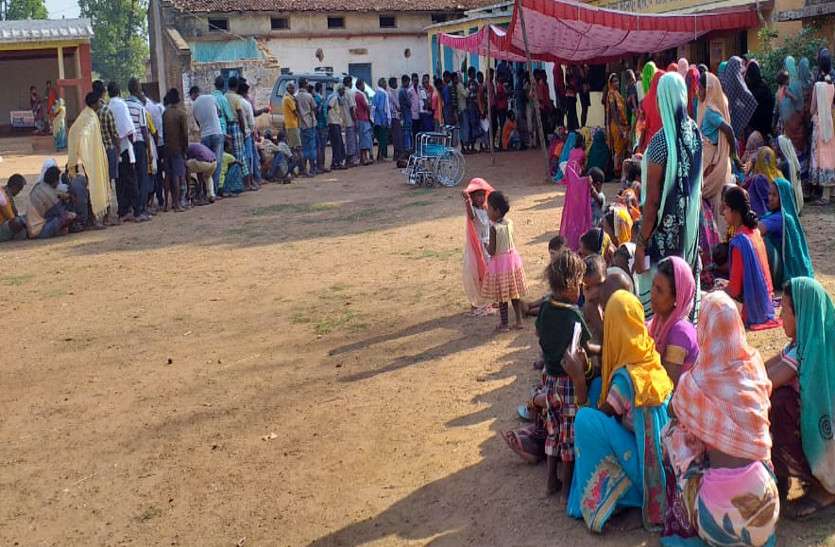 थोक में निकले पाली के मतदाता, 11 बजे तक 21 फीसदी मतदान थोक में निकले पाली के मतदाता, 11 बजे तक 21 फीसदी मतदान
