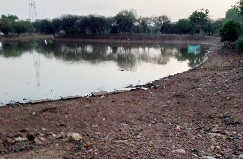 Dry river pond सूखने लगे नदी-तालाब, निस्तारी के संकट से जूझ रहे जीव-जंतु