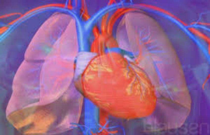 lung