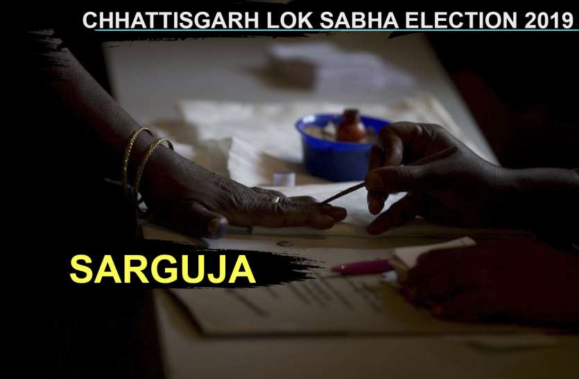 sarguja loksabha election 2019 पहले दो घंटे में सरगुजा लोकसभा क्षेत्र में हुआ 15.90 प्रतिशत मतदान