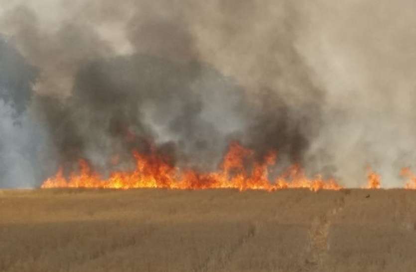 fire in panna district एक सप्ताह में दूसरी बार भड़की आग, जानिए कहां हो रही चूक