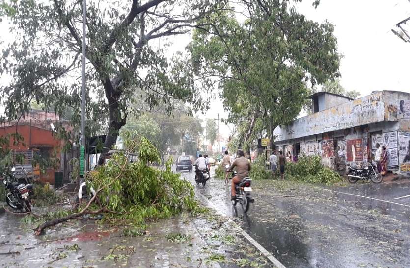 news,Chennai,Patrika,Tamilnadu,Breaking, हल्की बारिश ने दी गर्मी से राहत