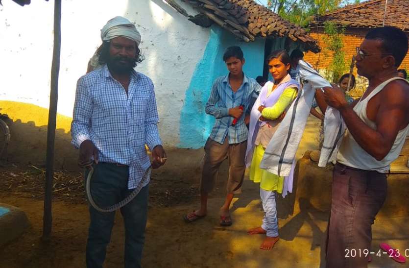 seoni अखिलेश को नहीं लगता सर्पों से डर, दे रहे सर्प न मारने का संदेश