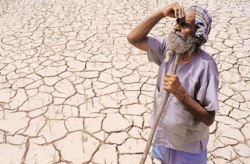 agriculture छत्तीसगढ़ के किसानो पर पड़ रही जलवायु परिवर्तन की मार,बस्तर सबसे ज्यादा प्रभावित